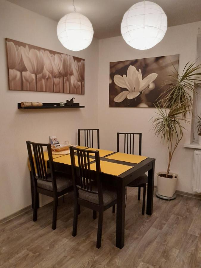 Apartment Riegerovka Cheb Zewnętrze zdjęcie