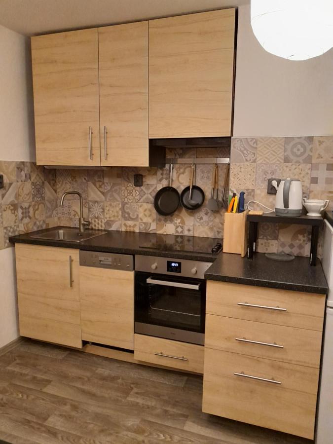 Apartment Riegerovka Cheb Zewnętrze zdjęcie