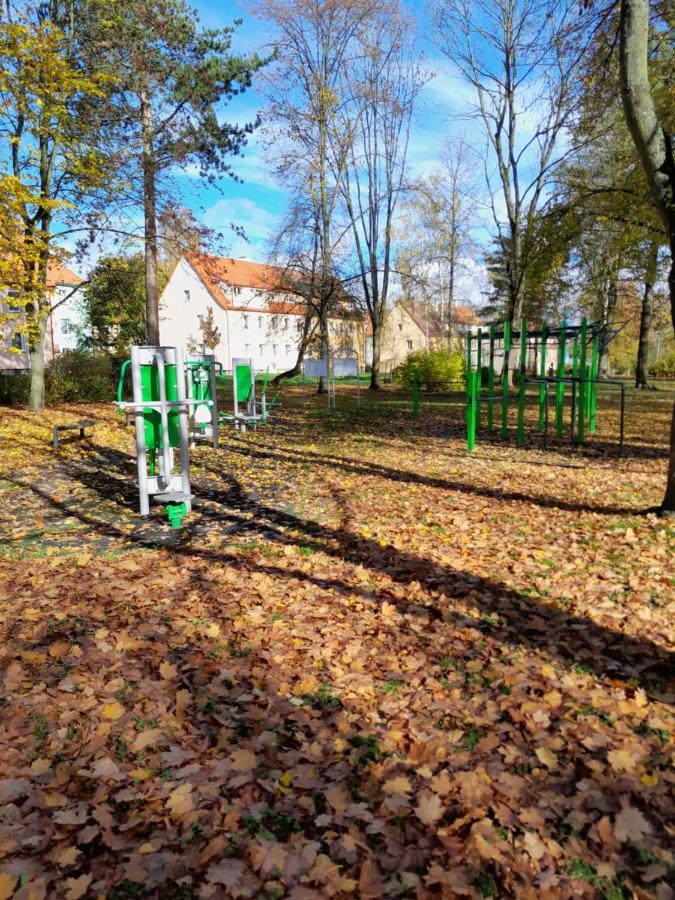 Apartment Riegerovka Cheb Zewnętrze zdjęcie