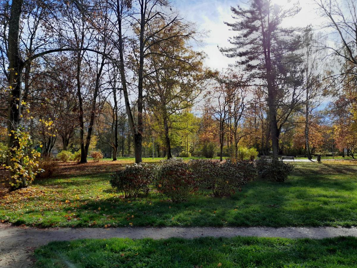Apartment Riegerovka Cheb Zewnętrze zdjęcie