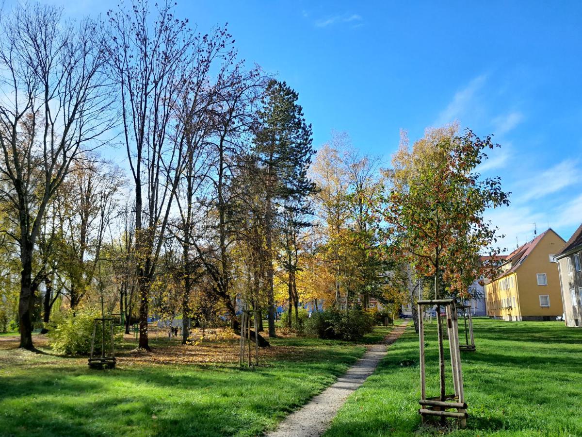 Apartment Riegerovka Cheb Zewnętrze zdjęcie