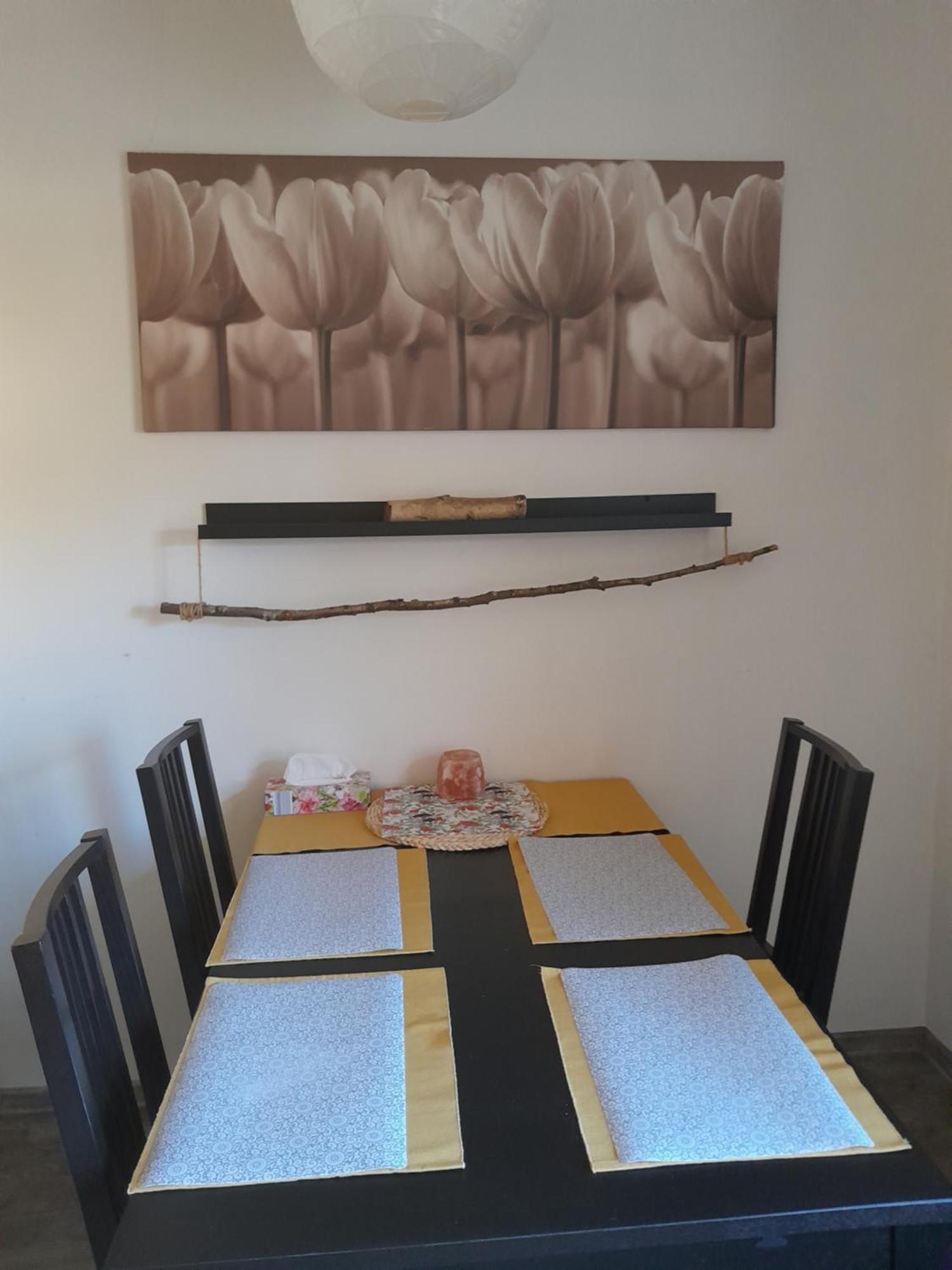 Apartment Riegerovka Cheb Zewnętrze zdjęcie