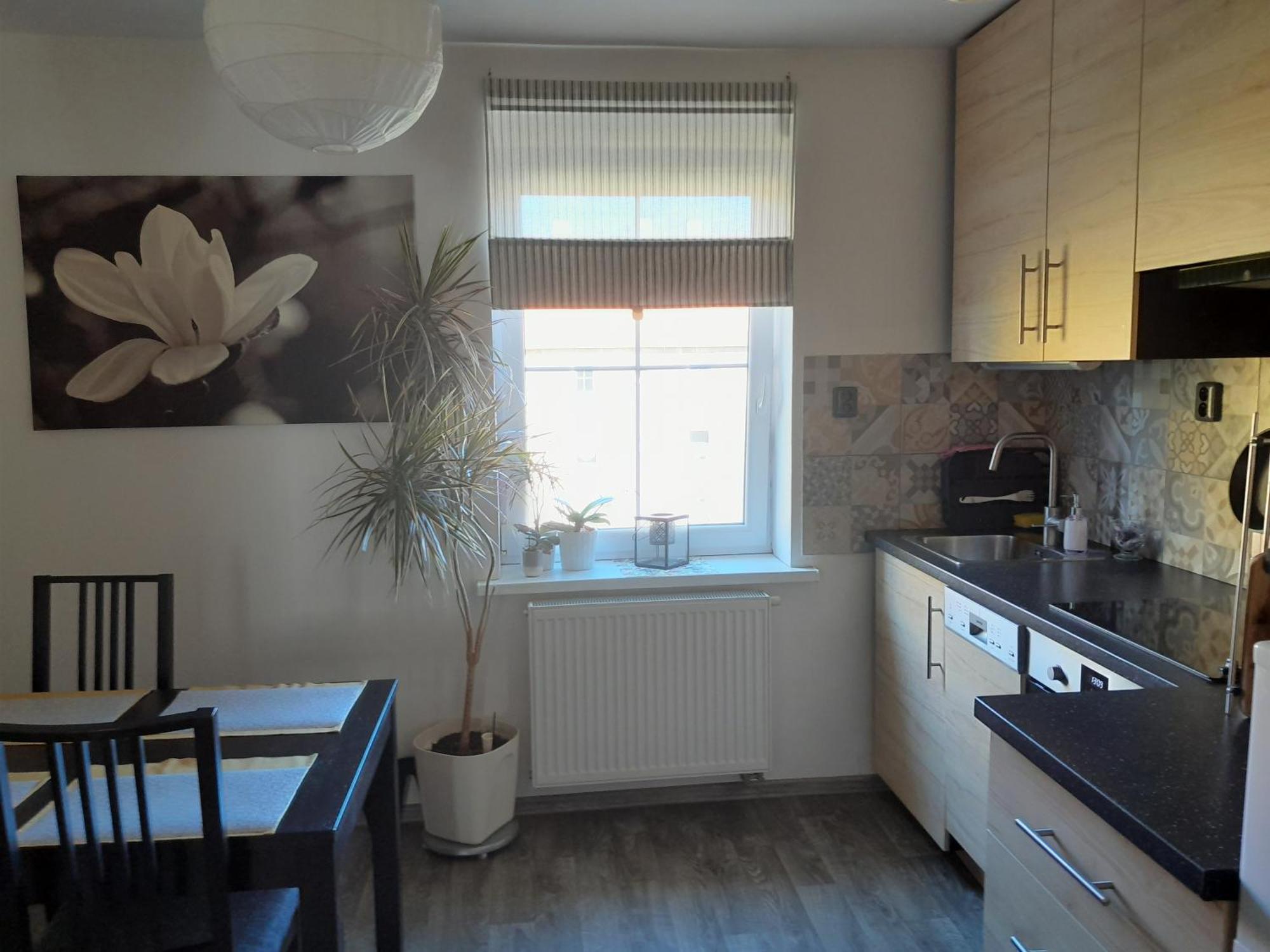 Apartment Riegerovka Cheb Zewnętrze zdjęcie